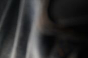 Overige foto's