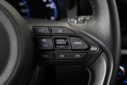 cruise control adaptief