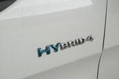 Overige foto's