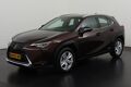 Lexus UX 250h Business Line