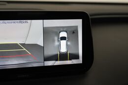 rondomzicht camera