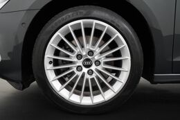 lichtmetalen velgen multi-spaaks 17"