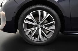 lichtmetalen velgen 17"