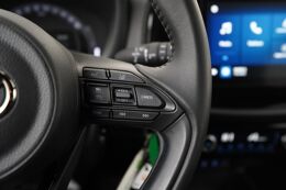 cruise control adaptief