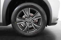 lichtmetalen velgen 17"