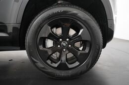 lichtmetalen velgen veel-spaaks 20"