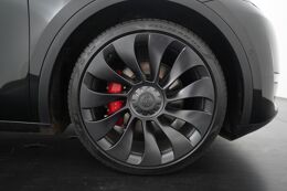 lichtmetalen velgen 21"