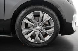 lichtmetalen velgen 17"