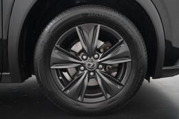 lichtmetalen velgen 17"