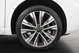 lichtmetalen velgen 20"