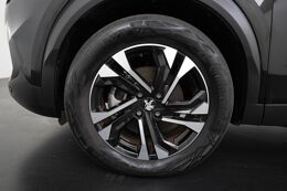 lichtmetalen velgen 17"