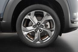 lichtmetalen velgen 18"