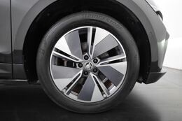 lichtmetalen velgen multi-spaaks 19"