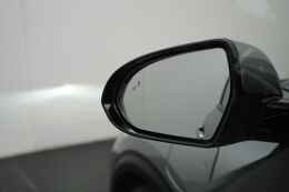 dodehoek detectie