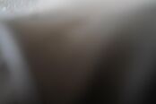 Overige foto's