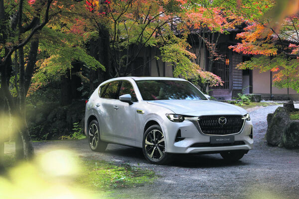 Hybride_suv_phev_hev_plug_in_occasion_voorraad