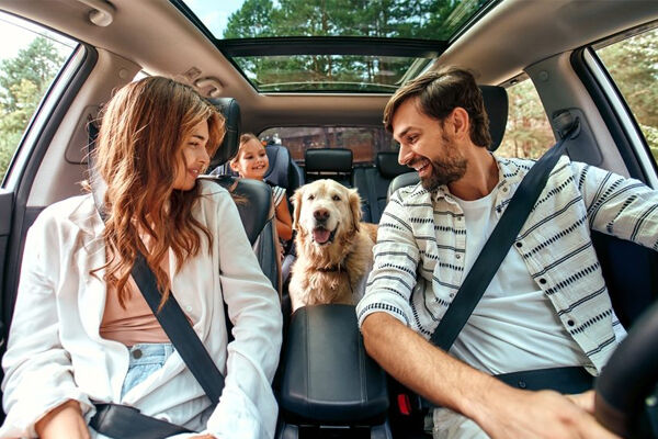 Auto_smeeing_verzekering_bovag