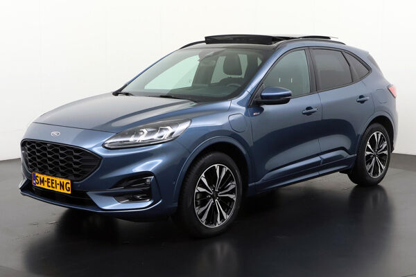 Ford_ST_modellen_uitvoering_puma_kuga_focus_fiesta